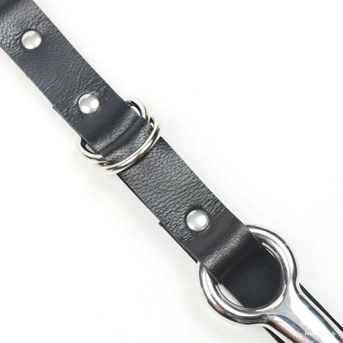 with and Anal Kinky EverydayUse Hook Leash 5853 Collar 1110